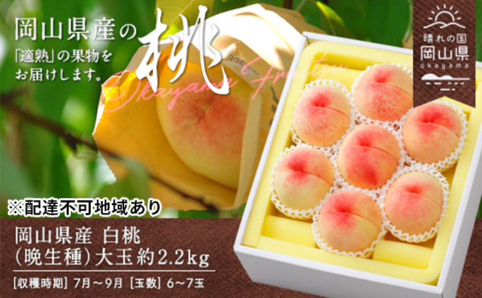 岡山県里庄町のふるさと納税 桃 2025年 先行予約 白桃 晩生種 大玉 約2.2kg 6～7玉 岡山県 フルーツ もも 桃 モモ ピーチ 人気 新鮮 フルーツ 桃 デザート フルーツ もも 桃 モモ ギフト くだもの 桃 もも 果物 フルーツ 桃 もも