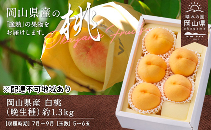 桃 2025年 先行予約 白桃 晩生種 約1.3kg 5～6玉 もも モモ 岡山県産 国産 フルーツ 果物 ギフト  果物類 