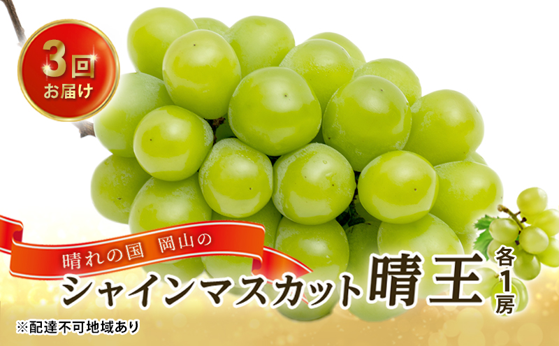 �y���R���������z�Ԃǂ� 2026�N ��s�\�� 3�񂨓͂��I ����̍� ���R�� �V���C�� �}�X�J�b�g ���� ×3��I�i�e1�[�j ���� ���R���Y ���Y �t���[�c �ʕ� �M�t�g �ʕ��� �嗱 ��Ȃ� �炲�� �Â�