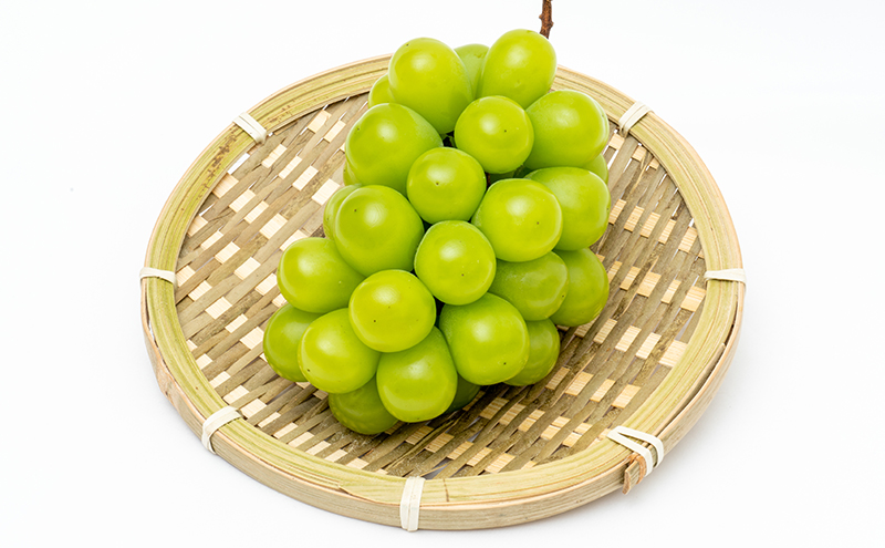 ぶどう 2026年 先行予約 3回お届け！ 晴れの国 岡山の シャイン マスカット 晴王 ×3回！（各1房） 葡萄 岡山県産 国産 フルーツ 果物 ギフト 果物類 大粒 種なし 皮ごと 甘い 