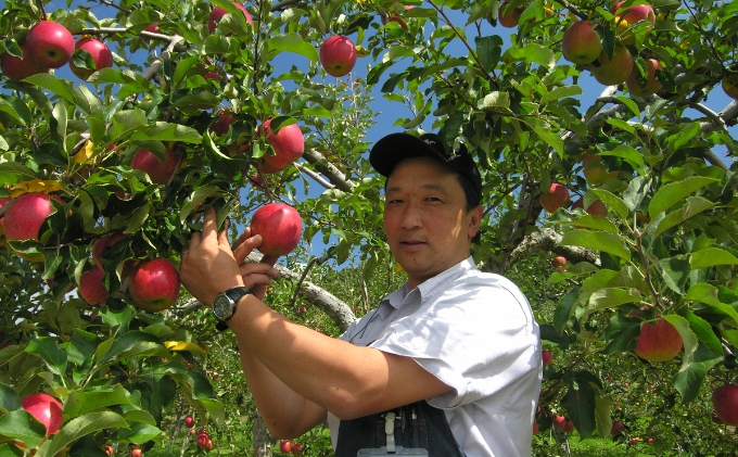 りんごジュース1000ml×3 ふじ3本セット 飲料類 果汁 飲料 果物 ギフト 