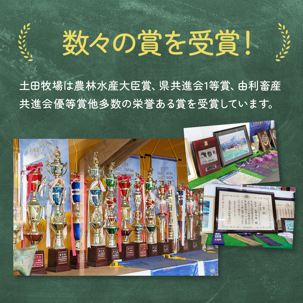 秋田県にかほ市のふるさと納税 土田牧場 のむヨーグルト 900ml×1本 「ジャージーヨーグルト」（飲む ヨーグルト 健康 栄養 豊富） 乳飲料 ドリンク 乳酸菌 乳製品 ジャージー牛乳