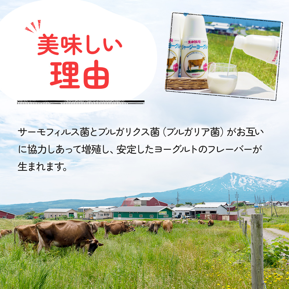 秋田県にかほ市のふるさと納税 土田牧場 のむヨーグルト 900ml×1本 「ジャージーヨーグルト」（飲む ヨーグルト 健康 栄養 豊富） 乳飲料 ドリンク 乳酸菌 乳製品 ジャージー牛乳