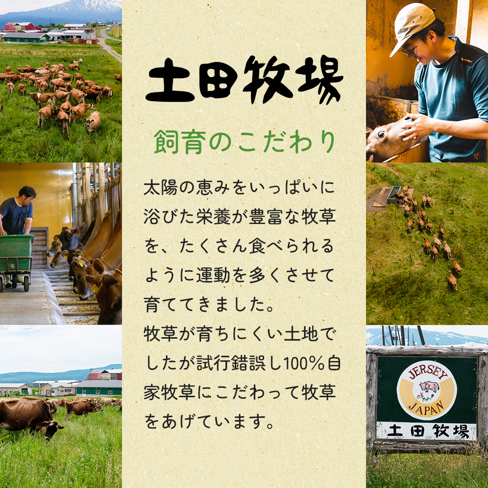 秋田県にかほ市のふるさと納税 土田牧場 のむヨーグルト 900ml×1本 「ジャージーヨーグルト」（飲む ヨーグルト 健康 栄養 豊富） 乳飲料 ドリンク 乳酸菌 乳製品 ジャージー牛乳