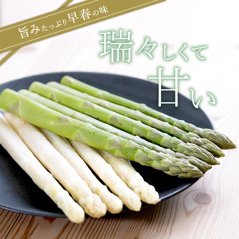 24日(月)発送　ひろ　3Lホワイトアスパラ 2kg 楽天市場】【ふるさと納税】【2025年発送】 ホワイトアスパラ