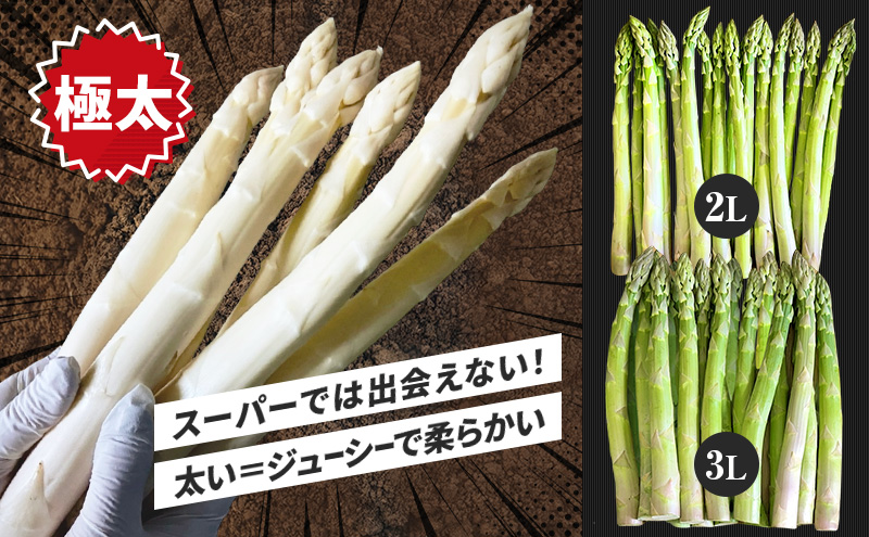 令和8年産】 〔メディア掲載されました〕 グリーン アスパラガス 2L