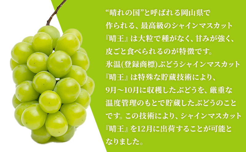 ぶどう 2026年 先行予約 3回お届け！  晴れの国 岡山の シャイン マスカット  晴王 ×3回！（各1房） 葡萄  岡山県産 国産 フルーツ ギフト 1房600g以上 大粒 種なし 甘みが強い 皮ごと食べられる 