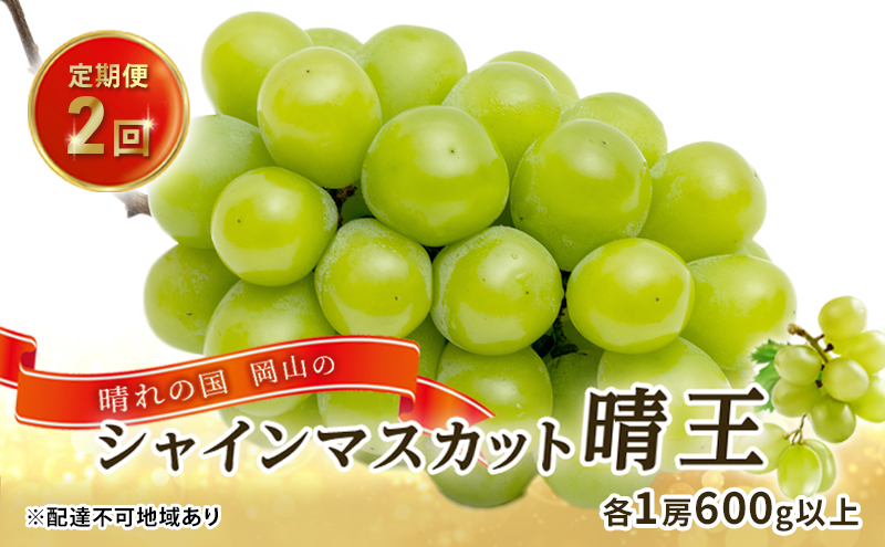 rr...出品　季節先取り【晴れの国岡山県産】温室栽培シャインマスカット シャインマスカット｜JA晴れの国岡山オンラインショッピング