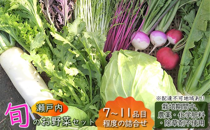  瀬戸内「旬」のお野菜セット 7～11品目程度の詰合せ 野菜 農薬 化学肥料 除草剤不使用 岡山 M’s farm 野菜の詰め合わせ 味が濃い 新鮮 旬の野菜 