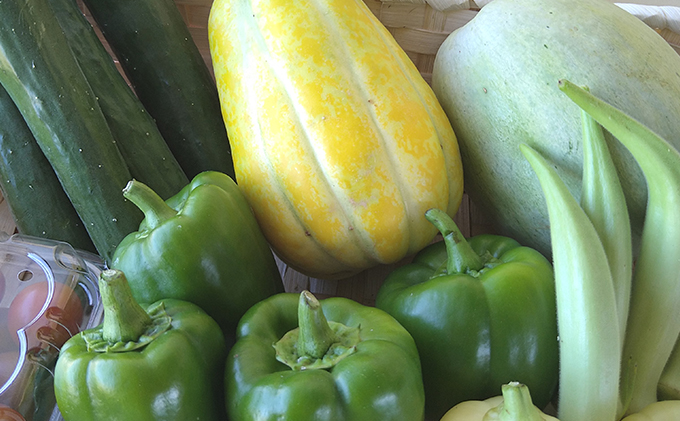  瀬戸内「旬」のお野菜セット 7～11品目程度の詰合せ 野菜 農薬 化学肥料 除草剤不使用 岡山 M’s farm 野菜の詰め合わせ 味が濃い 新鮮 旬の野菜 