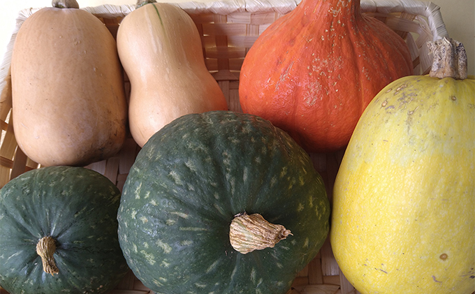  瀬戸内「旬」のお野菜セット 7～11品目程度の詰合せ 野菜 農薬 化学肥料 除草剤不使用 岡山 M’s farm 野菜の詰め合わせ 味が濃い 新鮮 旬の野菜 