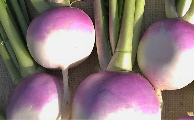  瀬戸内「旬」のお野菜セット 7～11品目程度の詰合せ 野菜 農薬 化学肥料 除草剤不使用 岡山 M’s farm 野菜の詰め合わせ 味が濃い 新鮮 旬の野菜 