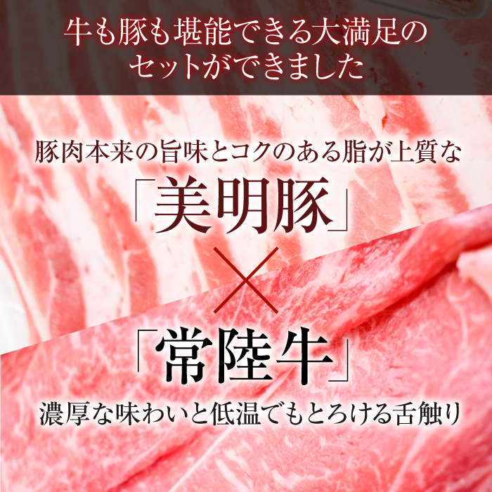 茨城県行方市のふるさと納税 J-12 【美明豚×常陸牛】1kgスライスセットA（美明豚バラ600g×常陸牛もも400g）
