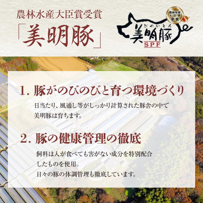 茨城県行方市のふるさと納税 J-12 【美明豚×常陸牛】1kgスライスセットA（美明豚バラ600g×常陸牛もも400g）