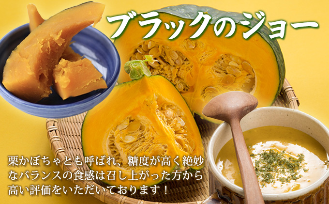 【2026年10月上旬より発送】北海道 富良野産 野菜 5kgセット じゃがいも＆玉ねぎ＆かぼちゃ 3種 詰め合わせ (中山農園) 野菜 新鮮 直送 いも 道産 ふらの 送料無料 数量限定 先着順 北海道 富良野市 ほくほく 秋