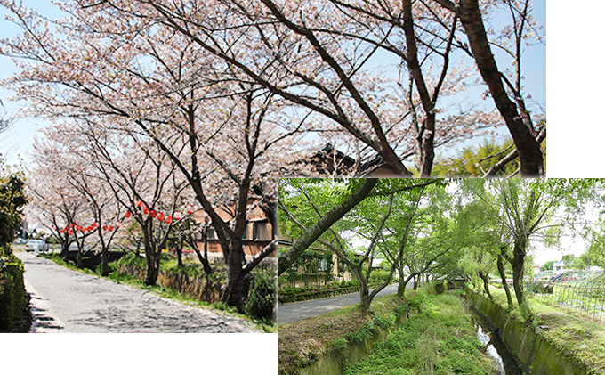 ドラム缶風呂と囲炉裏バーベキュー体験（2名） 体験チケット 入浴券 BBQ レジャー 五右衛門風呂 囲炉裏端 抹茶体験 日帰り利用 日本家屋 