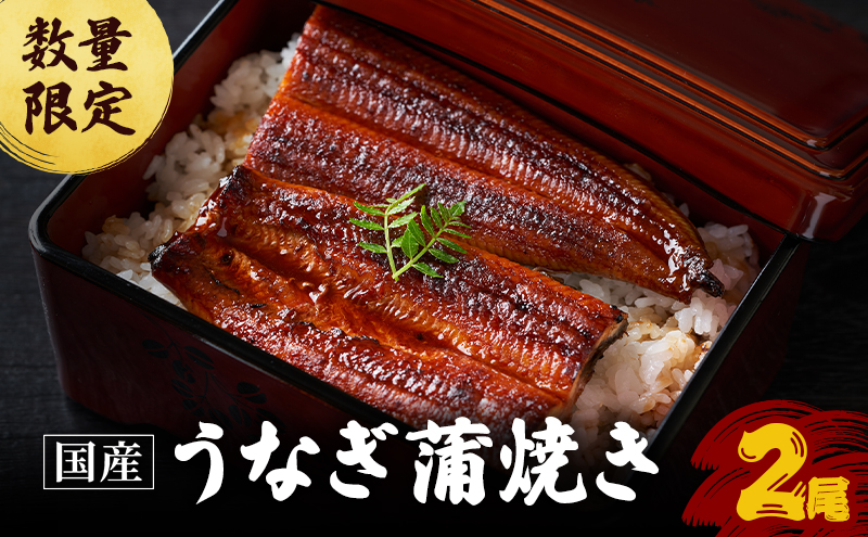 【福井県若狭町】数量限定 国産うなぎ 蒲焼き 2尾 セット 詰め合わせ うなぎ 鰻 ウナギ 国産 うなぎの蒲焼き 鰻の蒲焼 老舗うなぎ専門店 徳右ェ門 魚介 魚介類 海鮮 限定 福井 福井県 若狭町