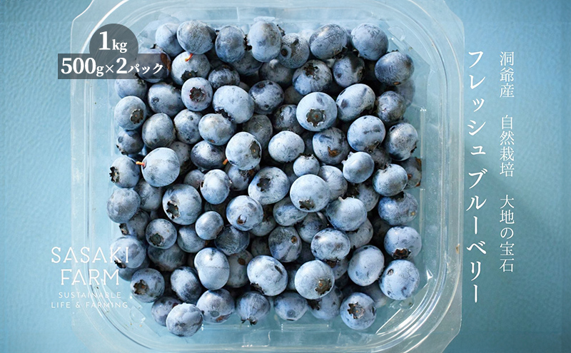 北海道 洞爺湖町産 フレッシュ ブルーベリー 500g 2パック 計1kg 7月20日から順次お届け 先行予約 北海道産 ブルーベリー 果物 果実 フルーツ 新鮮 国産 ベリー 農作物 お取り寄せ 冷凍 長期 保存 洞爺湖町