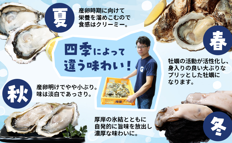 北海道 厚岸産 牡蠣 むいちゃいました！ わや ( 生食用 ) 500g×2 (合計1kg) カキ むき身 魚貝類 生牡蠣 かき むき牡蠣 マルえもん