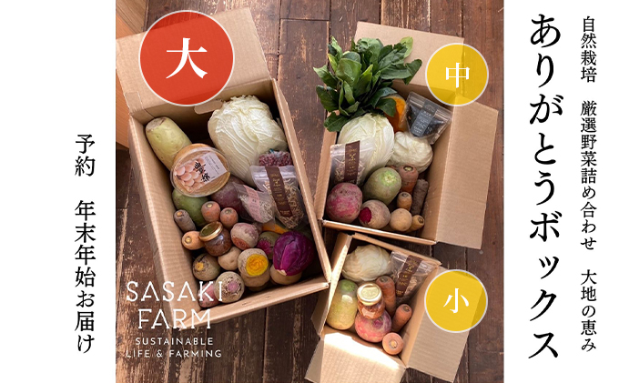 【北海道洞爺湖町】旬の野菜詰め合わせ 〜ありがとうBOX2025・大〜 12月1日〜1月31日頃お届け 北海道 野菜 やさい 詰め合わせ セット 北海道産 常備菜 加工品 自然栽培 佐々木ファーム 産地直送 洞爺湖町