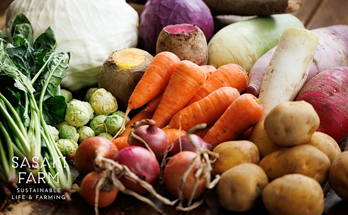 旬の野菜詰め合わせ ～ありがとうBOX2025・大～ 12月1日～1月31日頃お届け 北海道 野菜 やさい 詰め合わせ セット 北海道産 常備菜 加工品 自然栽培 佐々木ファーム 産地直送 洞爺湖町