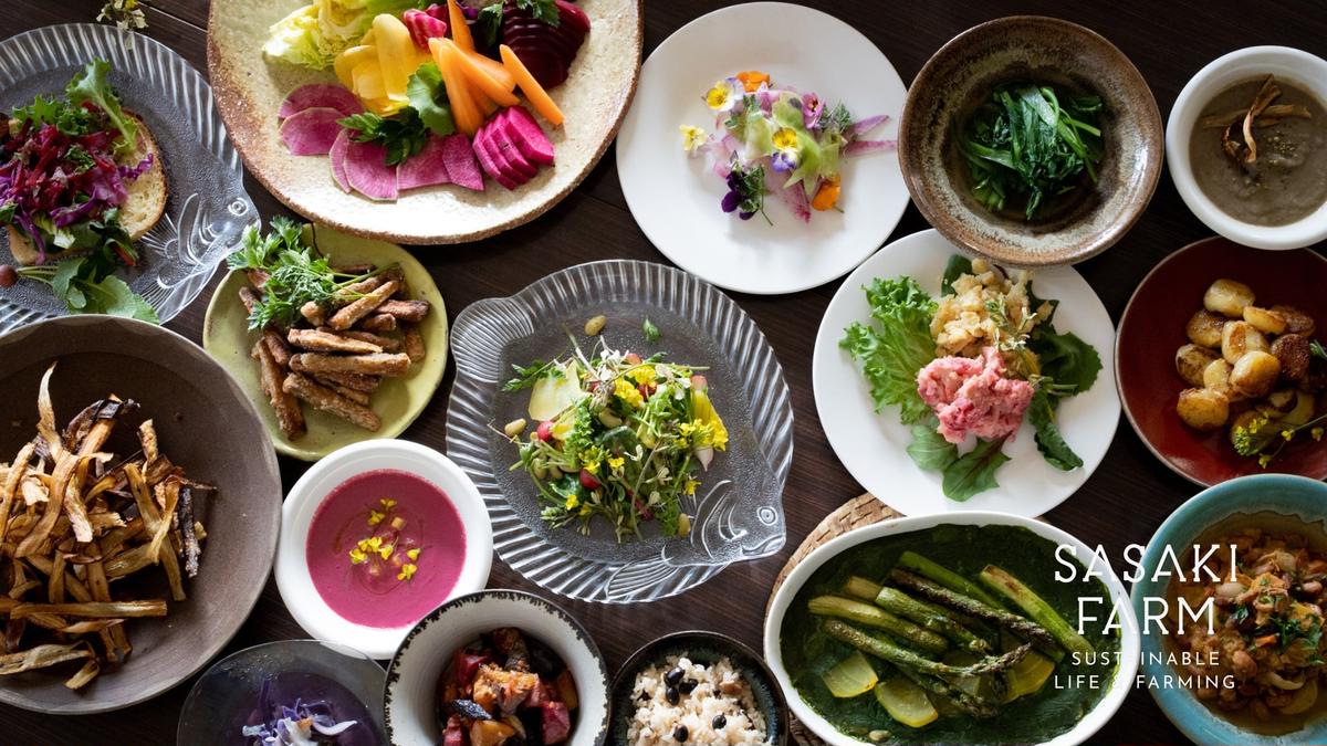 旬の野菜詰め合わせ ～ありがとうBOX2025・大～ 12月1日～1月31日頃お届け 北海道 野菜 やさい 詰め合わせ セット 北海道産 常備菜 加工品 自然栽培 佐々木ファーム 産地直送 洞爺湖町