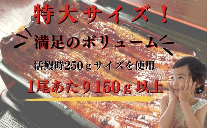 うなぎ 食べ比べ セット 蒲焼き 白焼き 各1尾 各150g以上 かね梅 鰻 ウナギ 蒲焼 たれ タレ 丑の日 国産 三河一色産 簡単調理 小分け 真空パック うな重 うな丼 ひつまぶし グルメ 人気 ギフト 贈答 送料無料 愛知県 【 蟹江町 】
