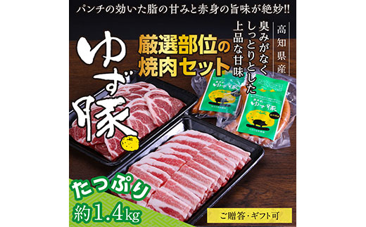 GRS006　【高知のブランド豚/ゆず豚】厳選部位の焼肉セット（約1.4kg）- 焼肉用 肩ロース500g バラ500g ソーセージ5本入り×2P BBQ やきにく 焼き肉 ソーセージ 豚肉 国産 詰め合わせ セット ギフト・熨斗対応可 贈答