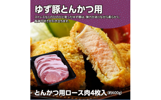 GRS005　【高知のブランド豚/ゆず豚】二刀流セット（しゃぶしゃぶ＆とんかつ）約1.1kg - しゃぶしゃぶ 豚しゃぶ 豚バラ ロース 豚バラスライス トンカツ 豚 カツ 豚肉 国産 ロースとんかつ 詰め合わせ ギフト・熨斗対応可 贈答