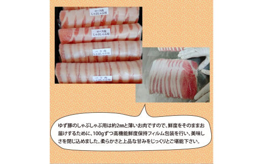 GRS001　【高知のブランド豚/ゆず豚】しゃぶしゃぶセット500g（約2人前）- 豚肉 しゃぶしゃぶ 豚しゃぶ 豚バラ 豚バラ ロース 豚バラスライス 国産 肉 ギフト・熨斗対応可 贈答