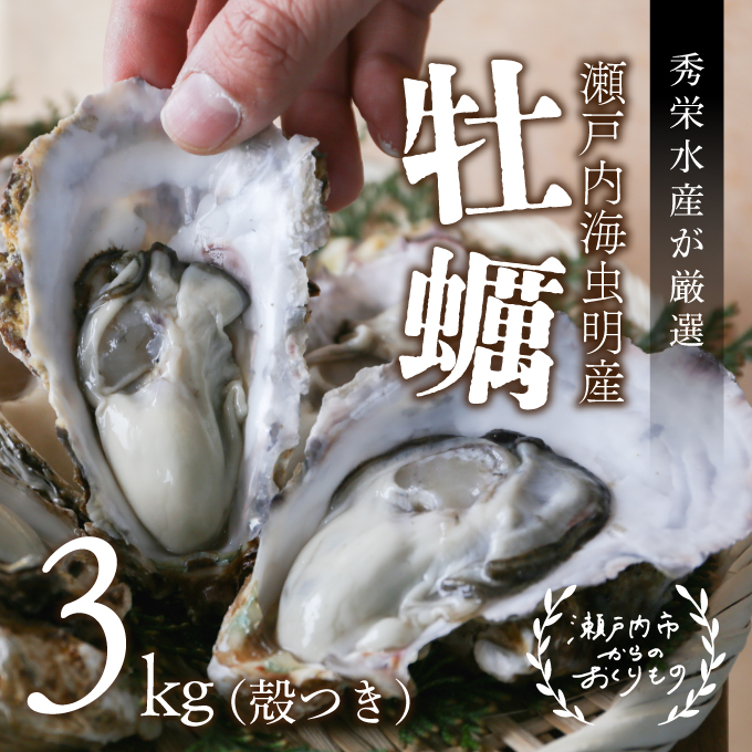 秀栄水産　瀬戸内の 牡蠣 （殻つき 約3kg） 海の幸 海のミルク 海鮮 貝 岡山県 瀬戸内市 虫明湾 魚介類 カキ 