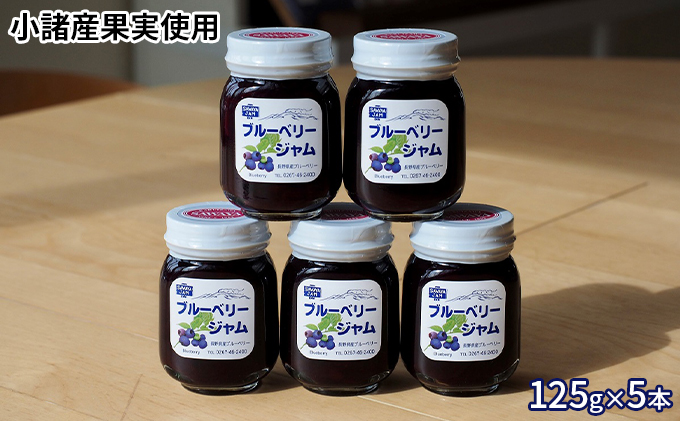 長野県小諸市のふるさと納税 ジャム ブルーベリー 125g 5本 セット 信州小諸産 長野 加工品 フルーツ 果物