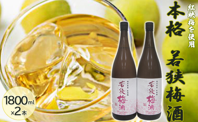 福井県産 紅映梅を使用した本格梅酒 若狭梅酒（1800ml）2本セット　 お酒 洋酒 リキュール リキュール類 