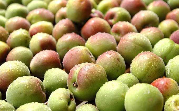 福井県産 紅映梅を使用した 若狭梅酒、レモングラス梅酒（1800ml） 2本セット　 お酒 洋酒 リキュール リキュール類 