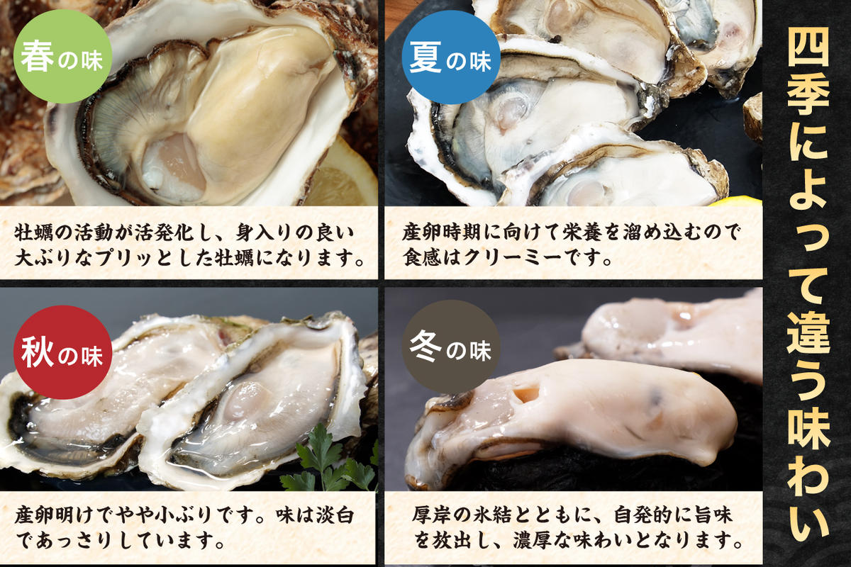 北海道厚岸産 牡蠣 Lサイズ 1ダース（12個入り） 生食用 生牡蠣 貝付き牡蠣 貝 海鮮 魚介類 シーフード 殻付き牡蠣 マルえもん メルマガ掲載商品1 