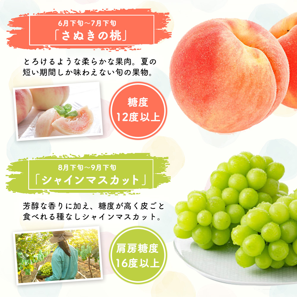 香川県東かがわ市のふるさと納税 フルーツ 定期便 6ヶ月 讃岐のフルーツ いちご デコポン 桃 シャインマスカット キウイ みかん さぬきひめ 不知火 さぬき紅 果物 旬のフルーツ 6回 お楽しみ 香川 香川県 東かがわ市