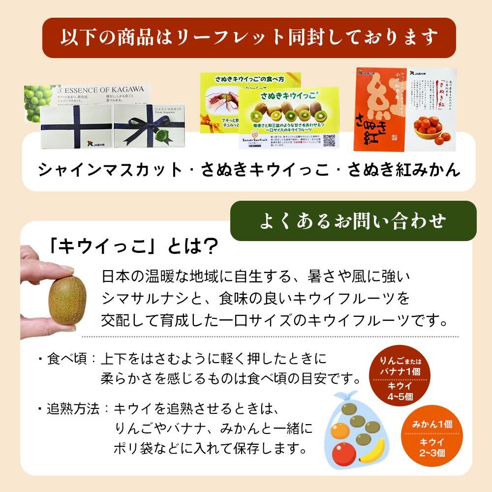 香川県東かがわ市のふるさと納税 フルーツ 定期便 6ヶ月 讃岐のフルーツ いちご デコポン 桃 シャインマスカット キウイ みかん さぬきひめ 不知火 さぬき紅 果物 旬のフルーツ 6回 お楽しみ 香川 香川県 東かがわ市