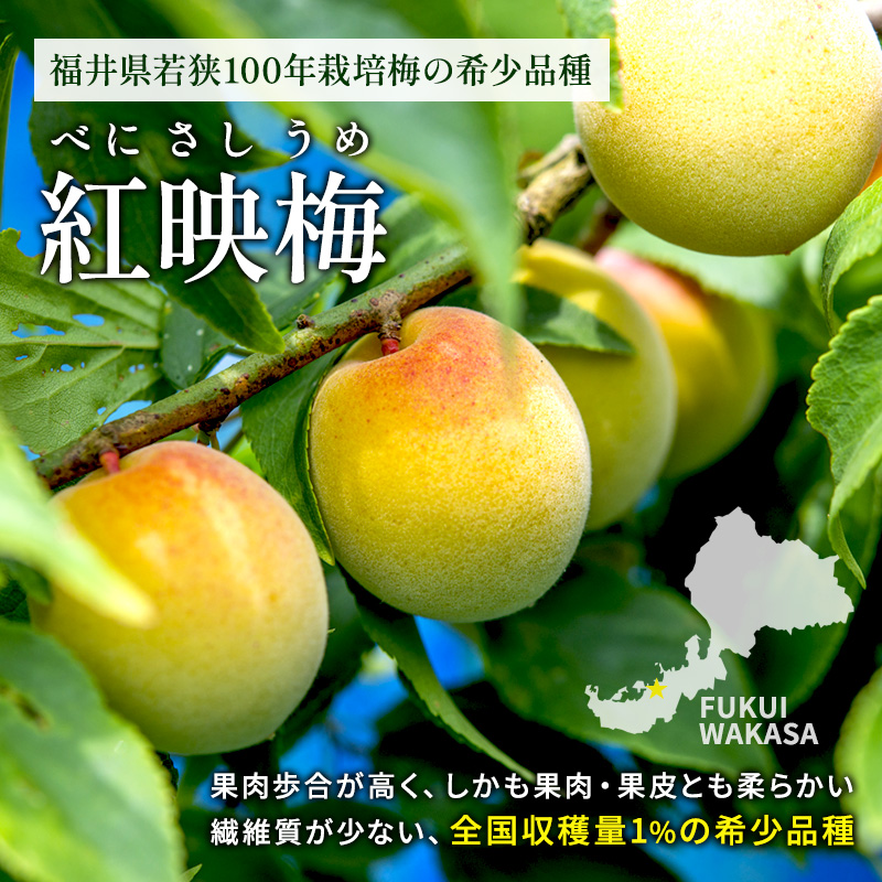 梅酒 限定 年間1000本 BENICHU19° 750ml 高島屋選定品 お酒 リキュール 高島屋 うめしゅ 酒 アルコール 紅映梅 梅 うめ ウメ 福井県 福井 