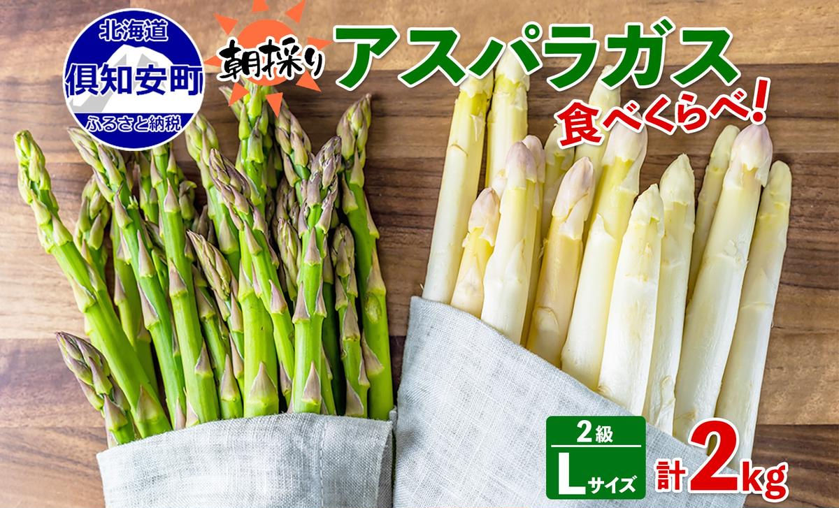 ykCmzy2026Nz AXpKX kC O[ AL zCg 2iE e1kg Hה Zbg v2kg t  { ̂ VN  AXp Mtg gift Yn Y  lߍ킹 
