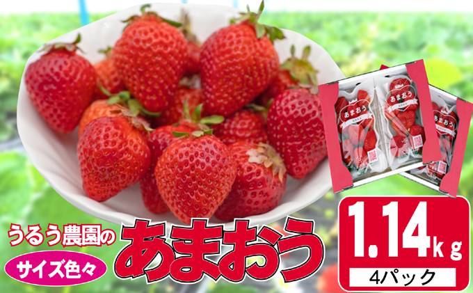 いちご 2025年12月より発送 うるう農園のあまおう サイズ色々4パック 約1.14kg※配送不可：離島 果物 フルーツ デザート 食後 特別栽培 福岡県産 国産 日本産 