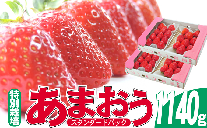 【福岡県朝倉市】いちご 2025年12月より発送 うるう農園のあまおう スタンダード4パック 約1.14kg※配送不可:離島 果物 フルーツ デザート 食後 特別栽培 福岡県産 国産 日本産