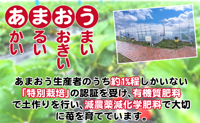福岡県朝倉市のふるさと納税 いちご 2025年12月より発送 うるう農園のあまおう大福キット（あまおう1パック＋大福6個セット）※配送不可：離島 果物 和菓子 生菓子 苺大福 フルーツ 和スイーツ 特別栽培 福岡県産 おやつ