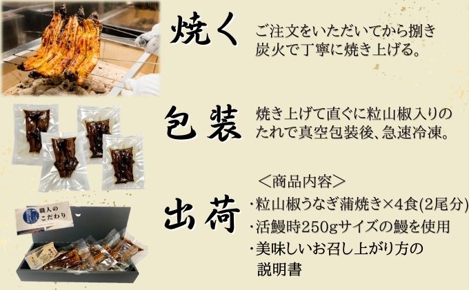 粒山椒 うなぎ 蒲焼き 4食 2尾分 かね梅 鰻 ウナギ 蒲焼 たれ タレ 丑の日 国産 三河一色産 炭火焼き 手焼き 簡単調理 小分け 真空パック うな重 うな丼 ひつまぶし グルメ 人気 ギフト 贈答 贈り物 送料無料 愛知県 【 蟹江町 】