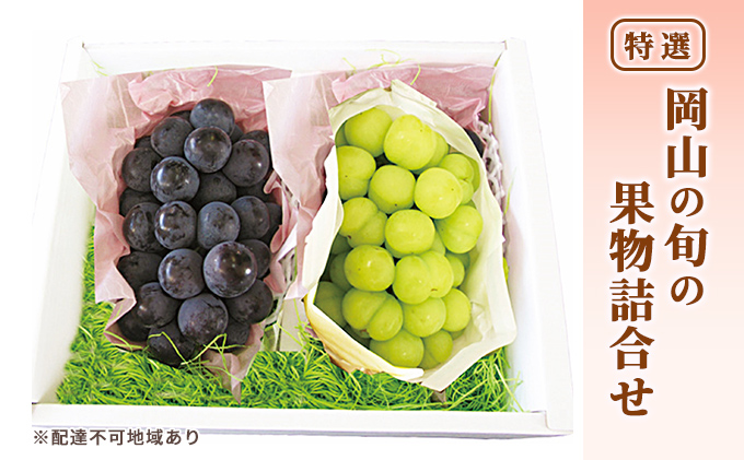 ぶどう 2026年 先行予約 特選 岡山の旬の果物詰合せ-4 シャインマスカット 晴王 ブドウ  葡萄  岡山県産 国産 フルーツ 果物 ギフト ピオーネ 各1房500g 種なし ジューシーな果汁 