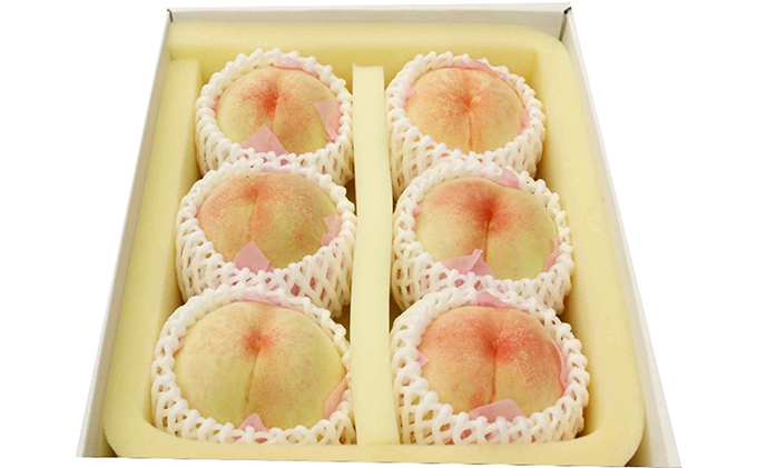 桃 2026年 先行予約 特選 岡山の白桃 4～6玉 1.5k箱（正味内容量1.3kg以上）早生種 もも モモ 岡山県産 国産 フルーツ 果物 ギフト 白鳳 白桃 品種はお任せ お楽しみ お取り寄せ 季節の果物 