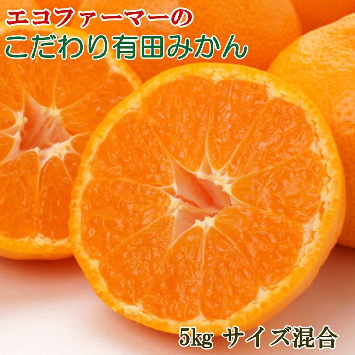 ZD92067_エコファーマーのこだわり 有田みかん 5kg (サイズ混合・秀・優品)【数量限定】