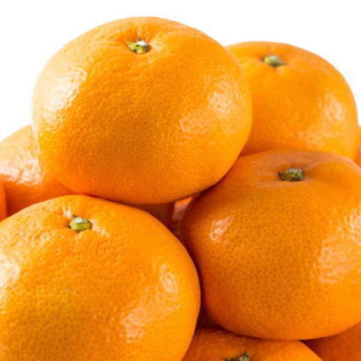 ZD92067_エコファーマーのこだわり 有田みかん 5kg (サイズ混合・秀・優品)【数量限定】