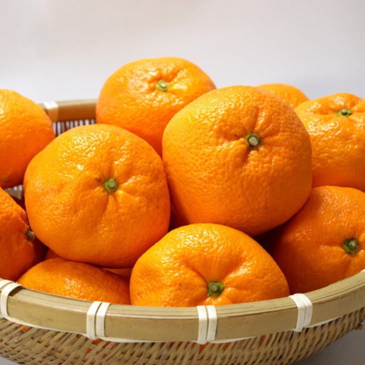 ZD92067_エコファーマーのこだわり 有田みかん 5kg (サイズ混合・秀・優品)【数量限定】