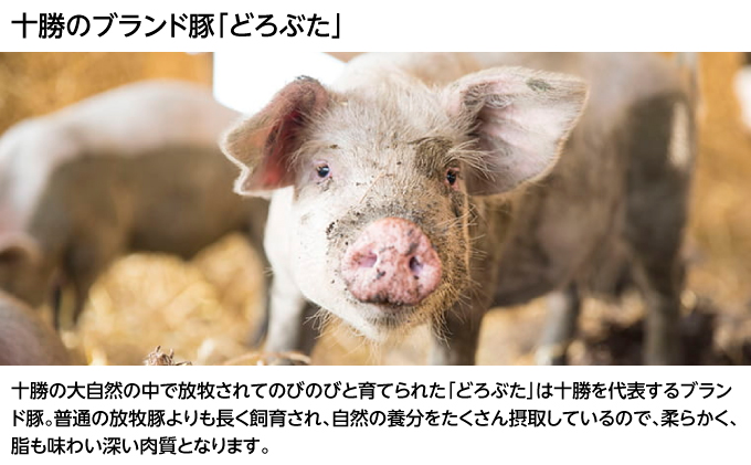 北海道十勝のメンチカツとコロッケ2種 70g×6個（どろぶたメンチカツ・黒毛和牛コロッケ）各3個［木川商店］【 加工品 惣菜 冷凍 お肉 豚肉 牛肉 レンジ お手軽 簡単 北海道 十勝 幕別  】 