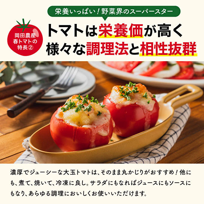 トマト 2kg トマトの一番星 野菜 とまと 完熟 高糖度 甘い 受賞 冷蔵配送
